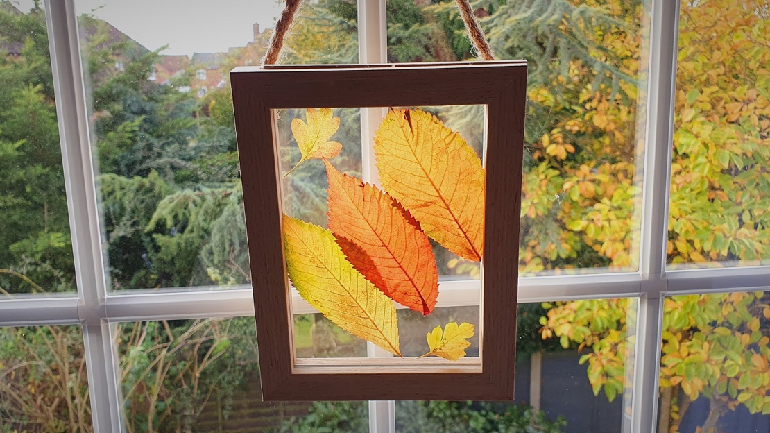 A photo frame with autumn leaves between two pieces of glasses hanging in a window