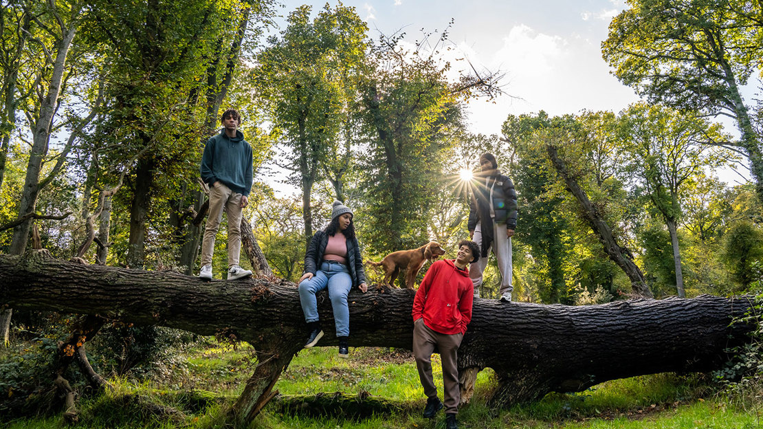 young people and dog on log in sunny woodland