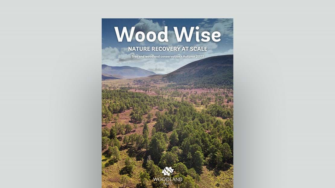 Woodwise magazine autumn 2022 document cover