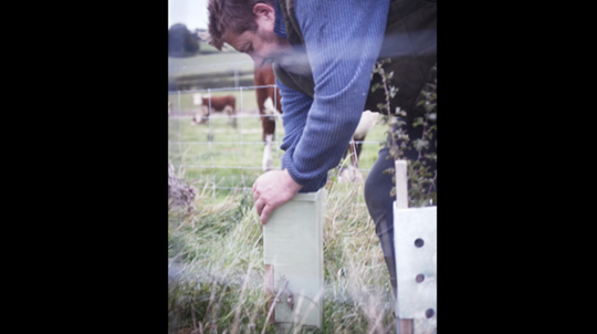 Farmer Andrew Evans planting saplings on his farm