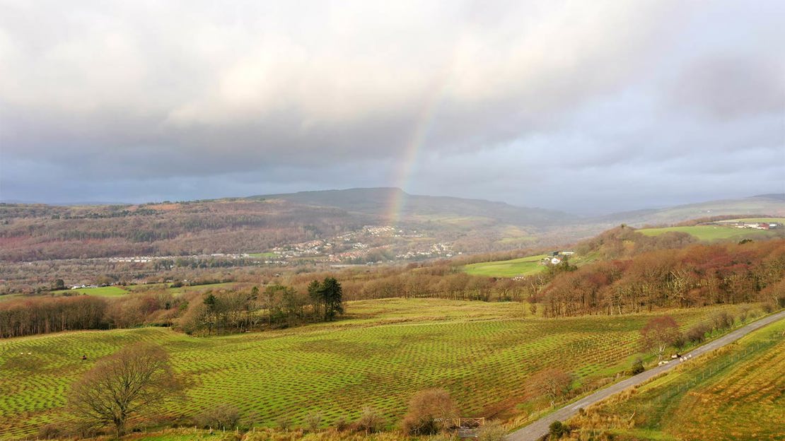 Brynau Farm Landscape With Rainbow