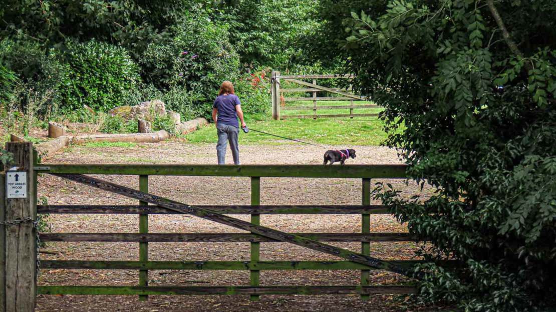 Gateway and a person walking a dog