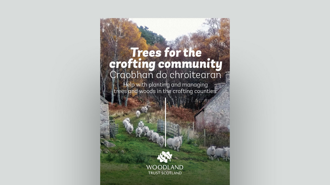 Trees for the Crofting community document cover Trees for the Crofting community document cover