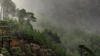 Misty mountainside, Scots Pine, Ben Shieldaig