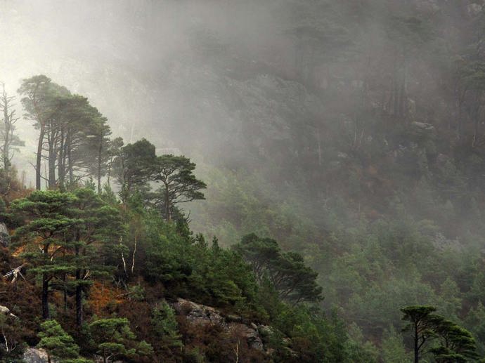 Umbraco.Cms.Infrastructure.PublishedCache.Property