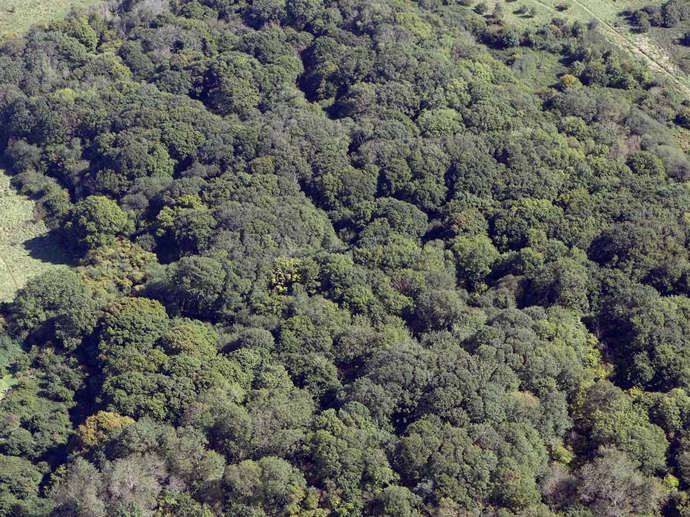 Umbraco.Cms.Infrastructure.PublishedCache.Property