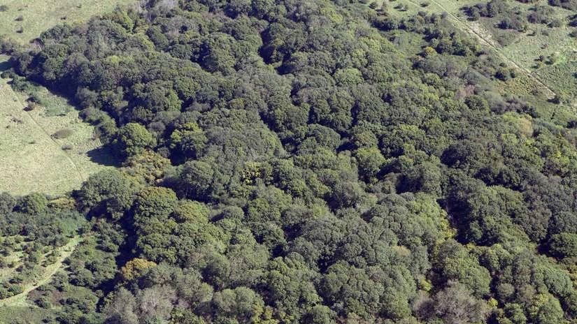 Umbraco.Cms.Infrastructure.PublishedCache.Property