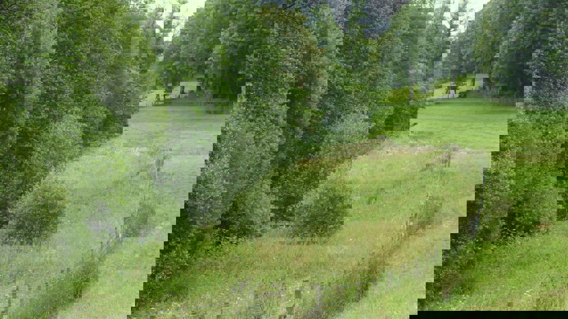 A small fence separates a green field from a stream with large trees growing along it.