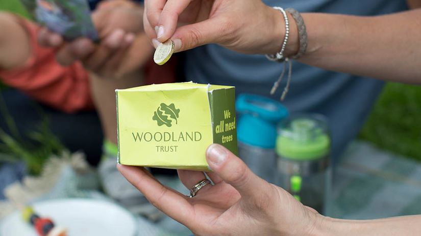 Umbraco.Cms.Infrastructure.PublishedCache.Property