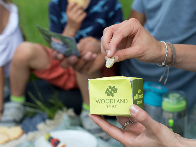 Umbraco.Cms.Infrastructure.PublishedCache.Property