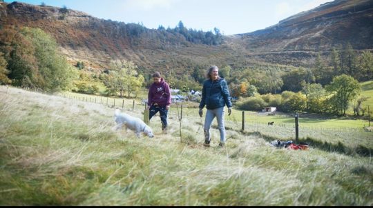 Two people and a dog stand in a grassy hillside field with wooded hills in the background