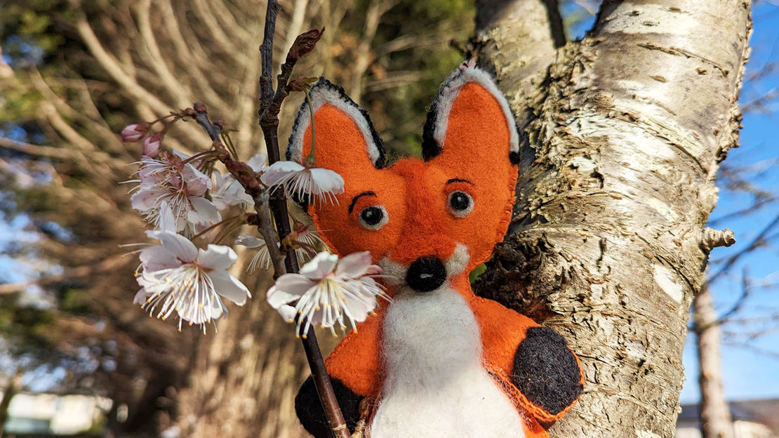 A finished felt fox placed in a tree alongside spring blossom