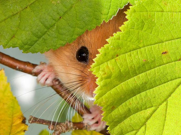 Umbraco.Cms.Infrastructure.PublishedCache.Property