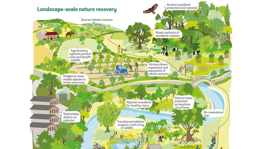 An illustration of a rural landscape of farms, woods and rivers, with text explaining how the different areas benefit nature.