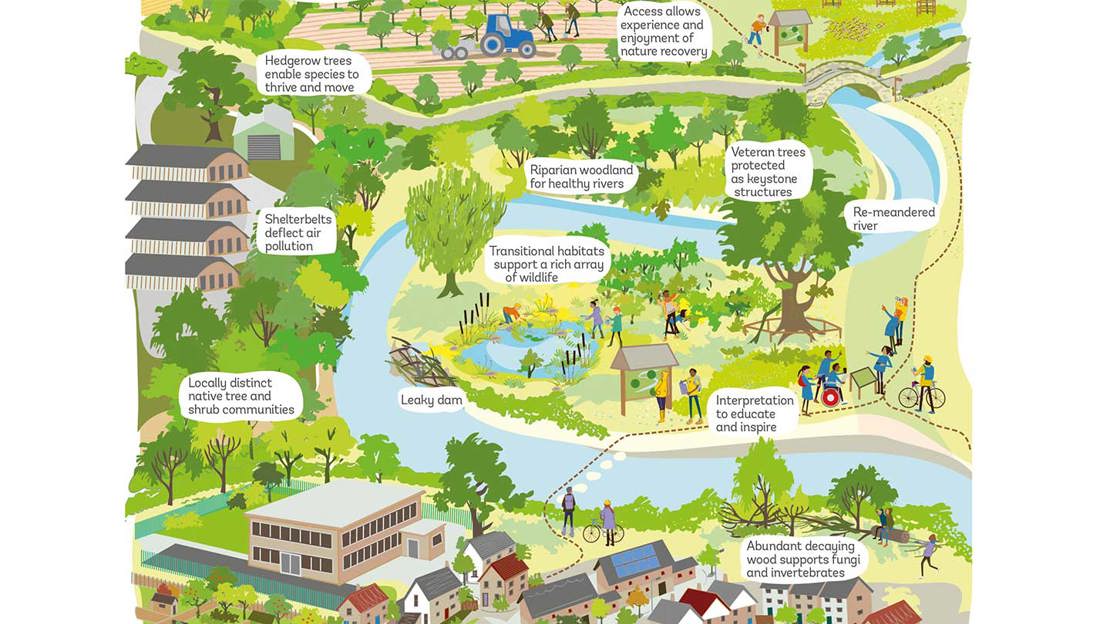 An illustration of a semi-rural landscape of parkland and  houses, with text explaining how the different areas benefit nature.