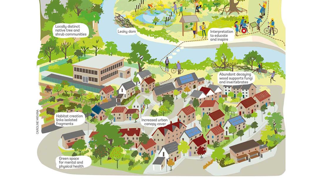 An illustration of an urban landscape of trees between houses, with text explaining how the different areas benefit nature.