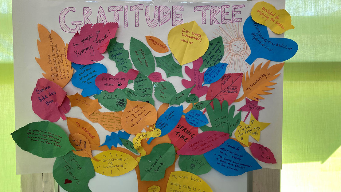 Gradtuity Tree Improve wellbeing in school - Woodland Trust
