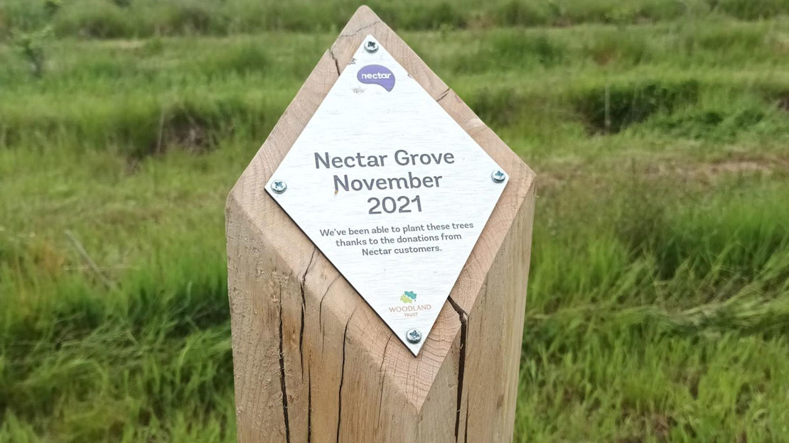 Nectar grove placard on a post