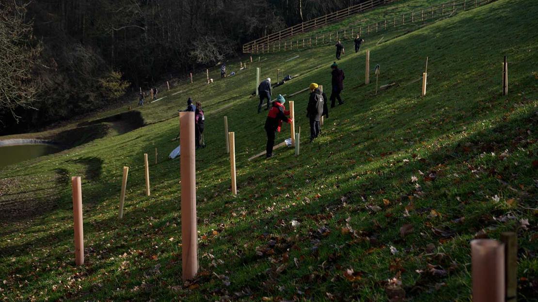 People planting trees on a sloping field with brown, plastic-free tree guards