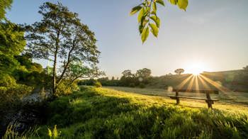 The sun dipping behind a hill and casting shafts of light onto a wooden bench beside a tree-lined river