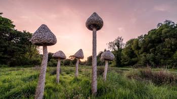A shot looking up towards giant wicker mushroom sculptures standing against a pink sunset