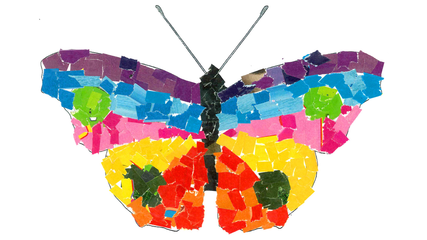 How Butterflies Work