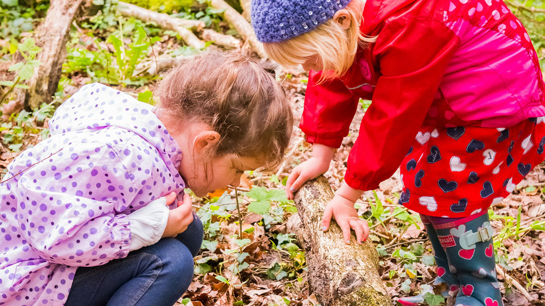 Two young children peering at the leaf litter on the woodland floor
