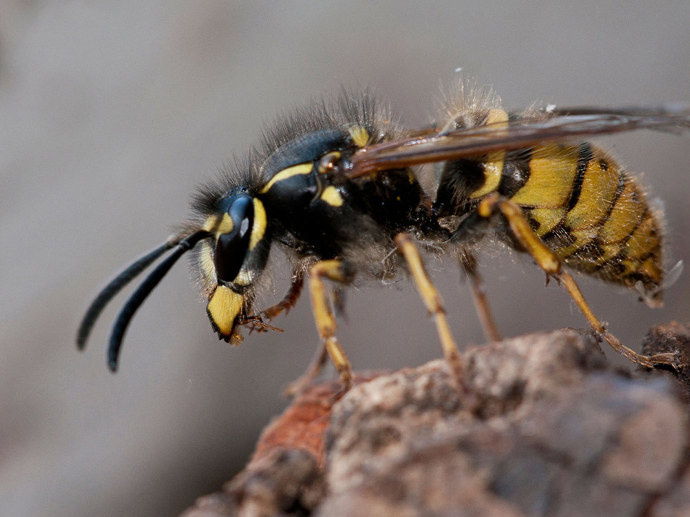 Umbraco.Cms.Infrastructure.PublishedCache.Property