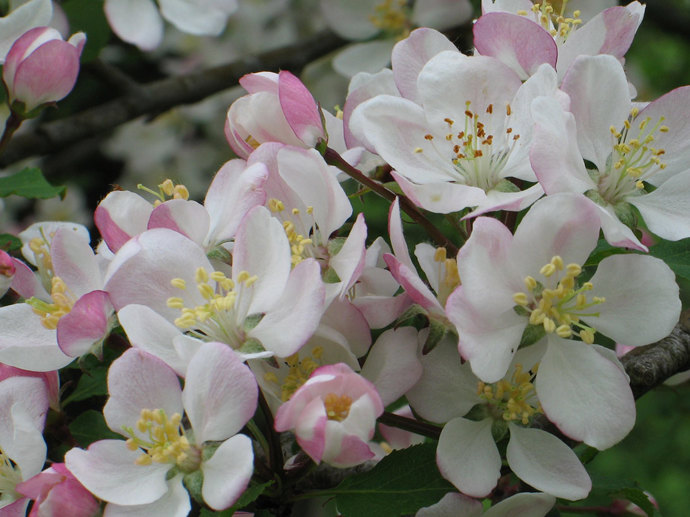 Umbraco.Cms.Infrastructure.PublishedCache.Property