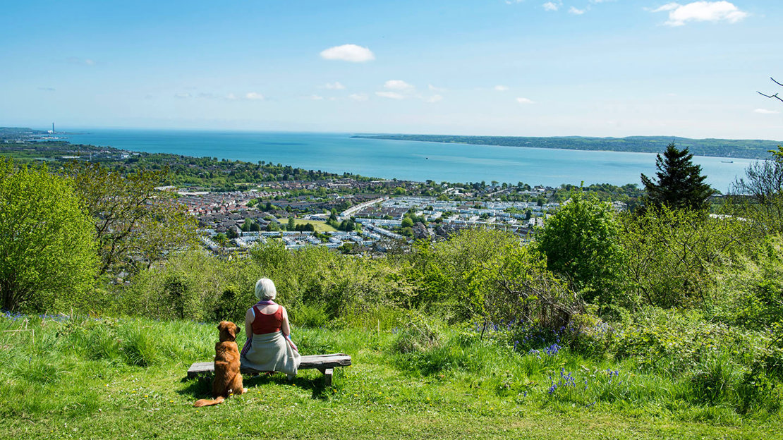 Woman and dog sitting on bench in low woodland overlooking Belfast with a sea view
