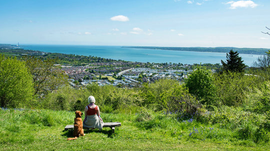 Woman and dog sitting on bench in low woodland overlooking Belfast with a sea view