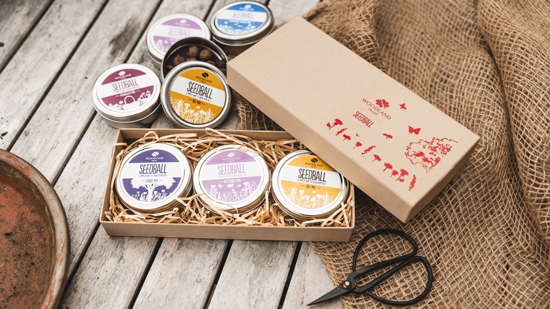 An open gift box showing three colourful seedball tins