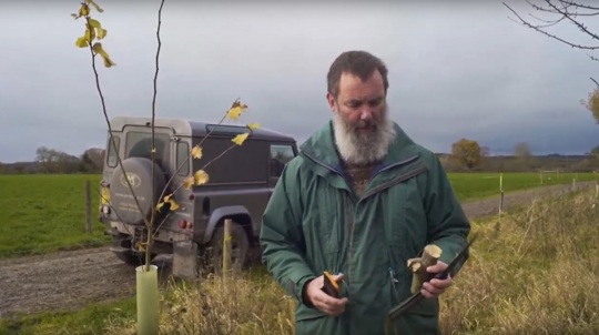 Volunteer David Griffith examining a branch cutting