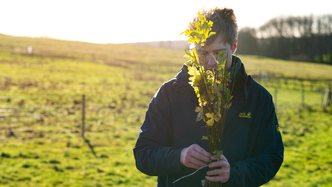 Man Holding tree saplings
