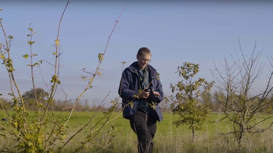 Volunteer Andrew Steele walking among trees with binoculars