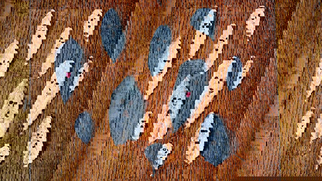 Autumn leaves painted white with drawn-on faces to look like ghosts