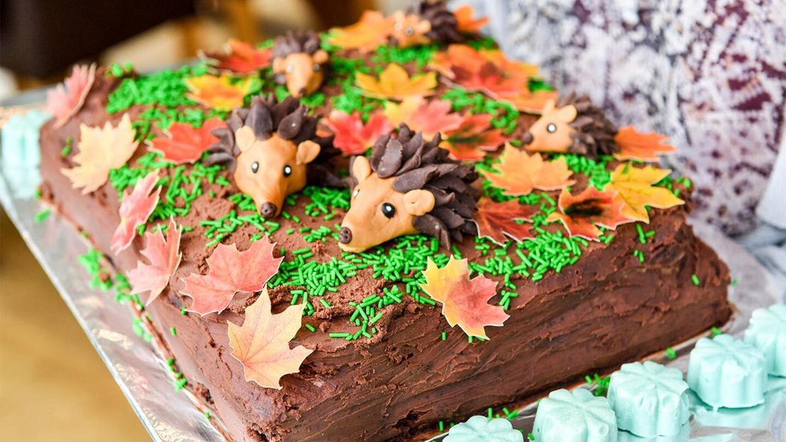 A chocolate cake covered in hedgehogs and leaves made out of icing