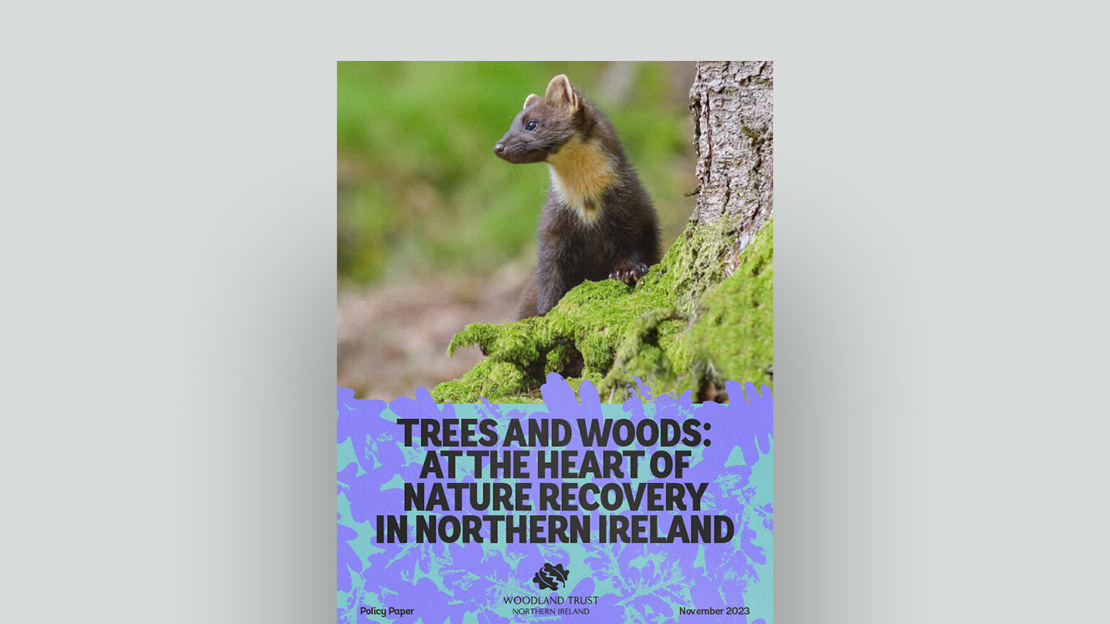 Trees And Woods At The Heart Of Nature Recovery In Northern Ireland document cover