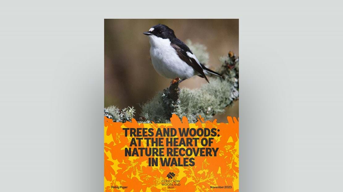 Trees and woods at the heart of nature recovery in Wales document cover