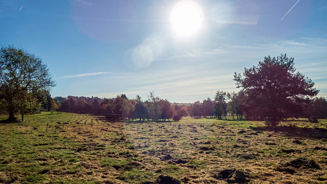 Landscape At Frodsham Woods