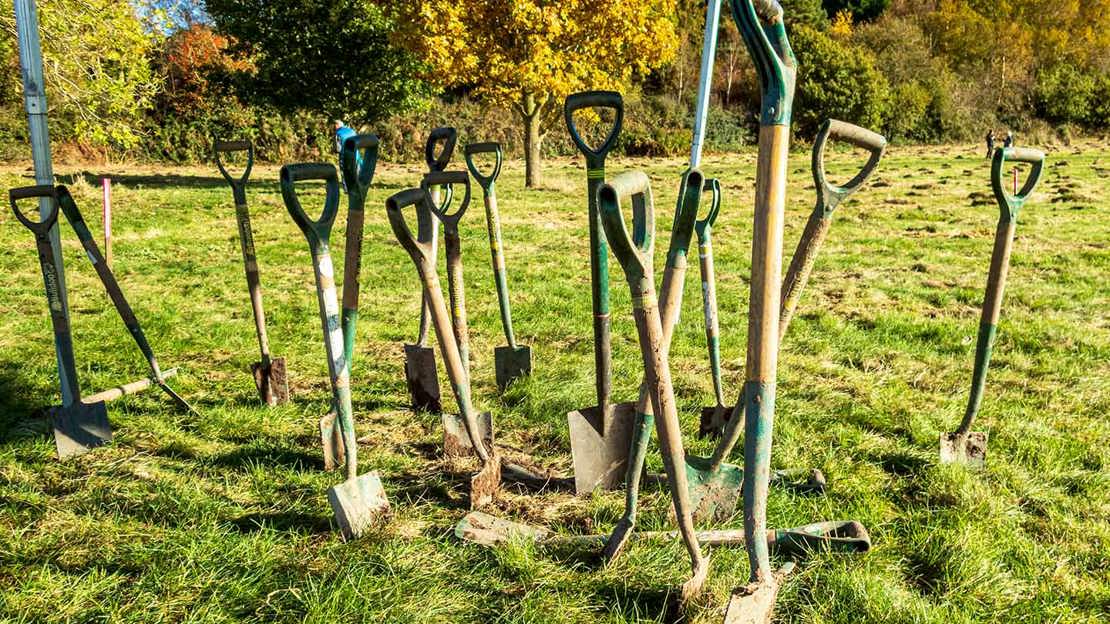 Spades in the ground at Frodsham Woods