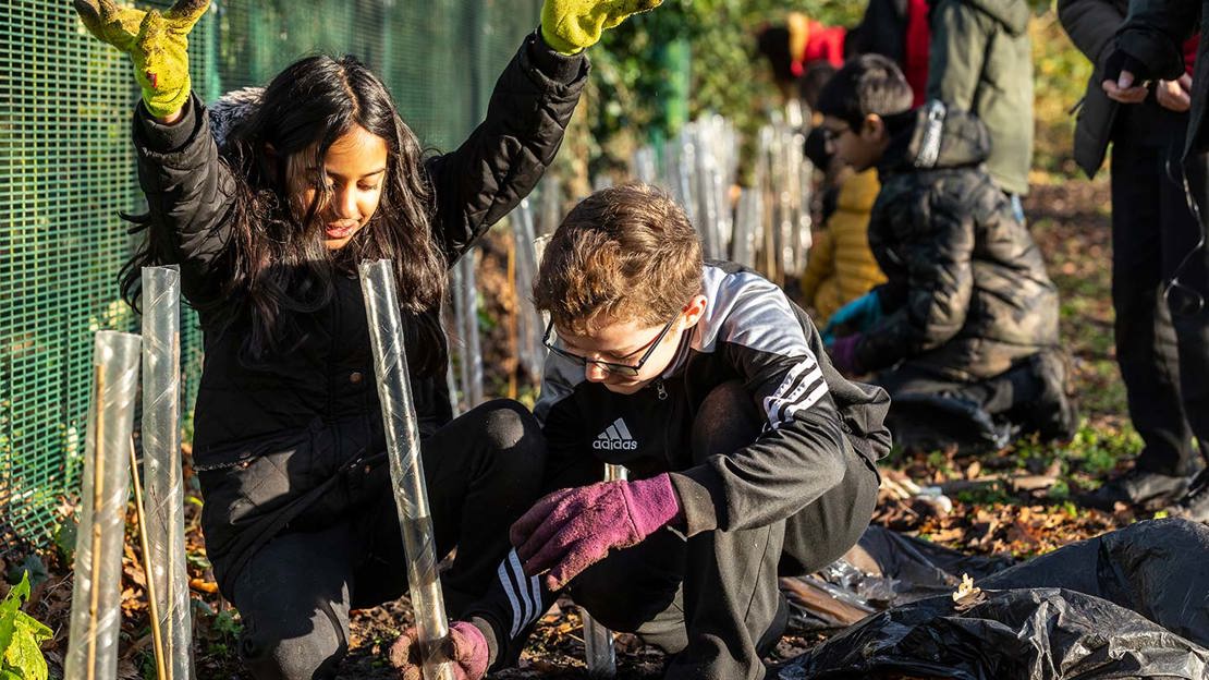 Whitehall Primary School Planting, DEFRA