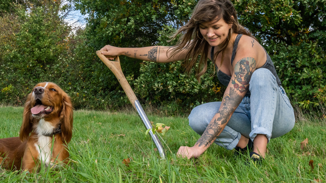 Tree planting with spaniel