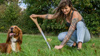 Tree planting with spaniel