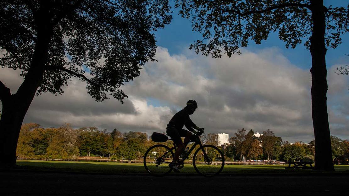 A silhouetted cyclist riding through a park, between two trees