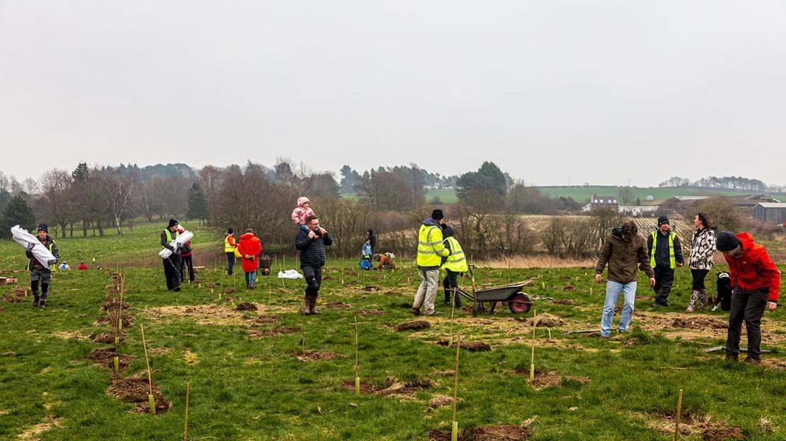 Community Planting Day At Frodsham Wood