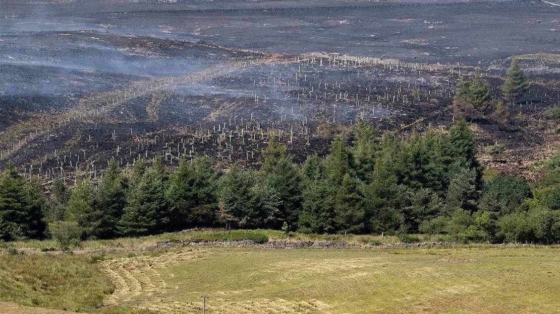 View of burnt Smithills landscape in the aftermath of fire.