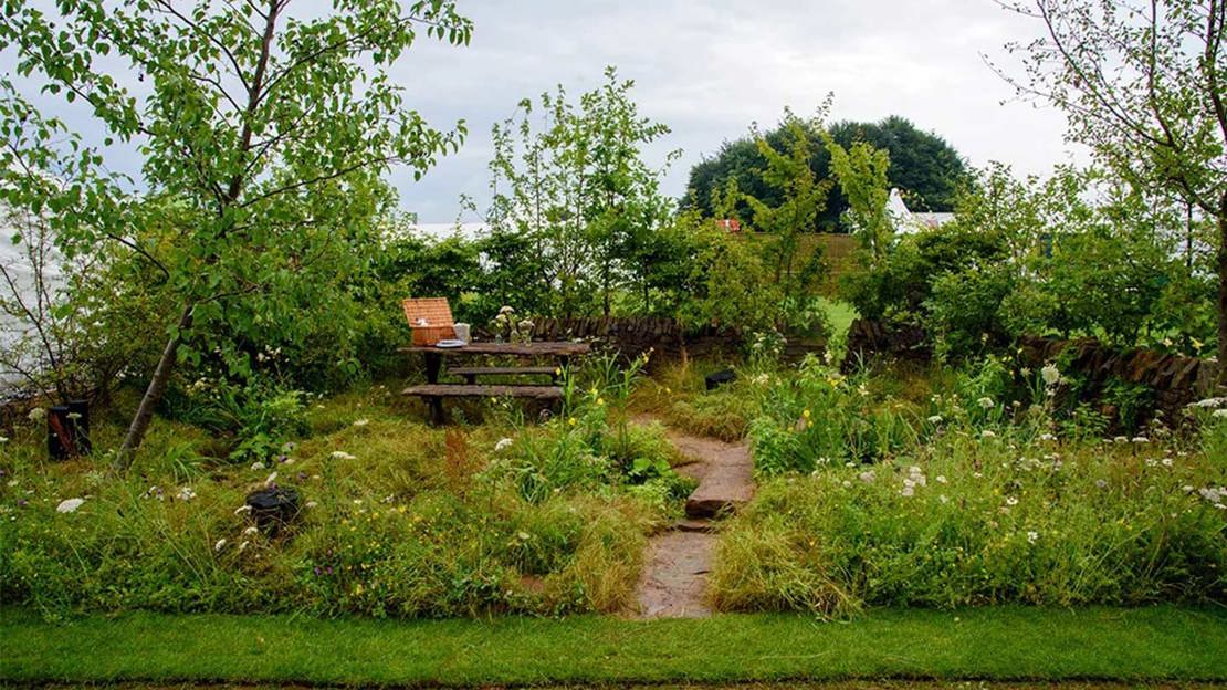 Small garden filled with lush plants and grasses, with path leading to wooden bench.