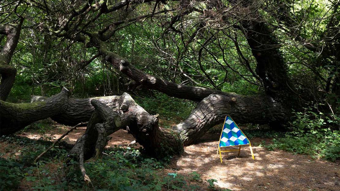Triangular sign with colourful pattern on woodland path in front of fallen tree.