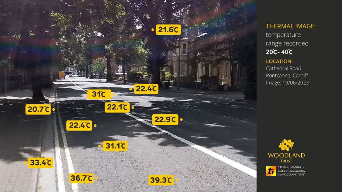 Trees casting shade onto a road with temperatures overlaid, showing the shady areas are cooler